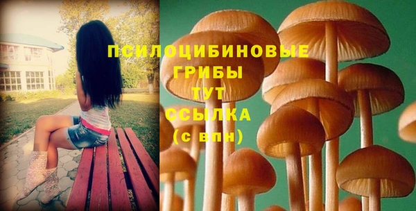 гидропоника Володарск