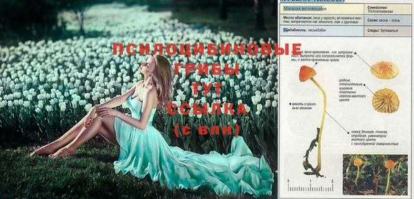 герыч Верхнеуральск