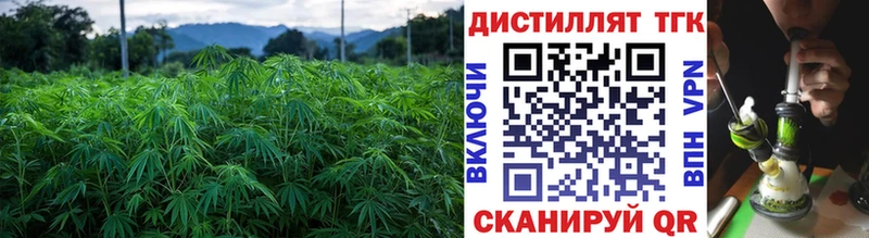 ТГК гашишное масло  мориарти клад  Южа  блэк спрут tor 