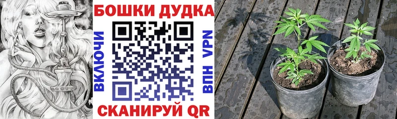 МЕГА сайт Южа Бошки марихуана White Widow darknet наркотические препараты дарнет шоп